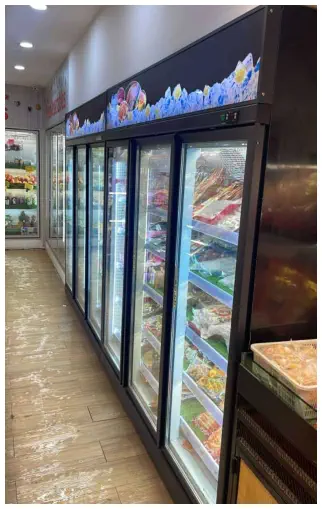 Glass-door commercial freezer at a retail premises
